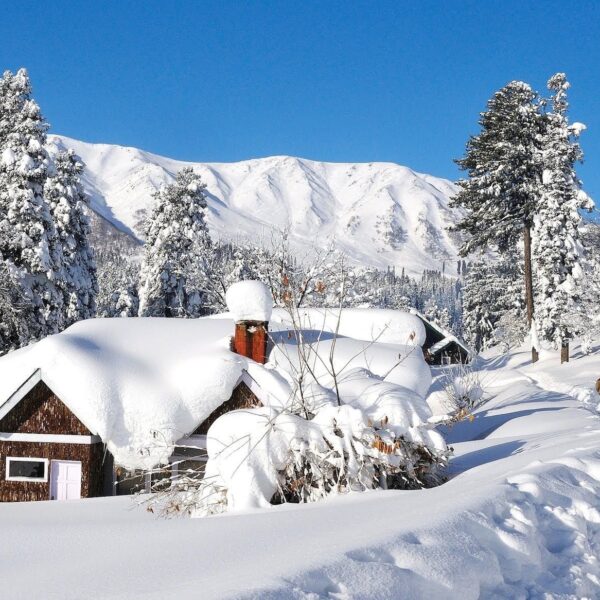 Comfort - All-Inclusive Ski Packages -  Gulmarg